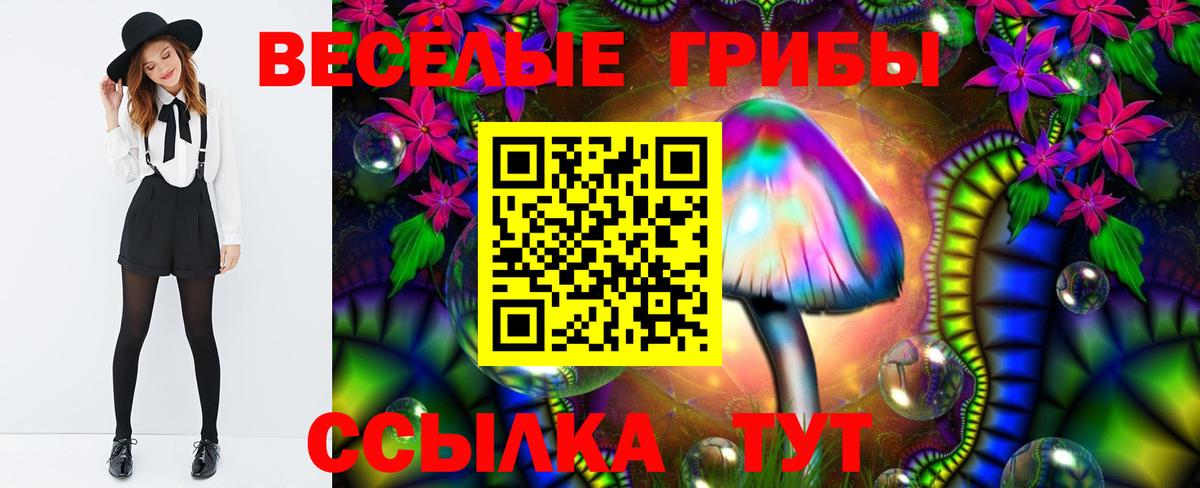 Псилоцибиновые грибы Psilocybe Домодедово