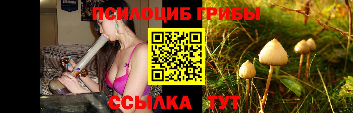 Домодедово  Псилоцибиновые грибы MAGIC MUSHROOMS  Вход с VPN 